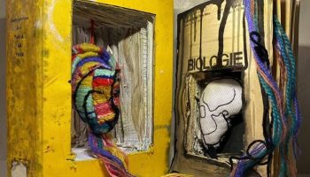 Alexandra Maria Tecu _ A marriage between life and death